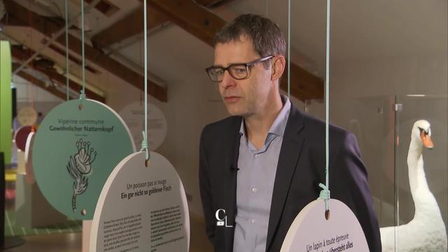 Entretien avec Peter Wandeler, directeur du Musée d’histoire naturelle de Fribourg