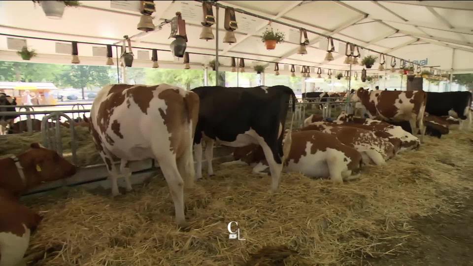 A la découverte de la ferme fribourgeoise à la Fête des Vignerons