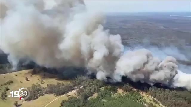 Etat d'urgence en Australie, les feux sont catastrophiques. Le gouvernement accusé d'avoir minimisé le changement climatique.