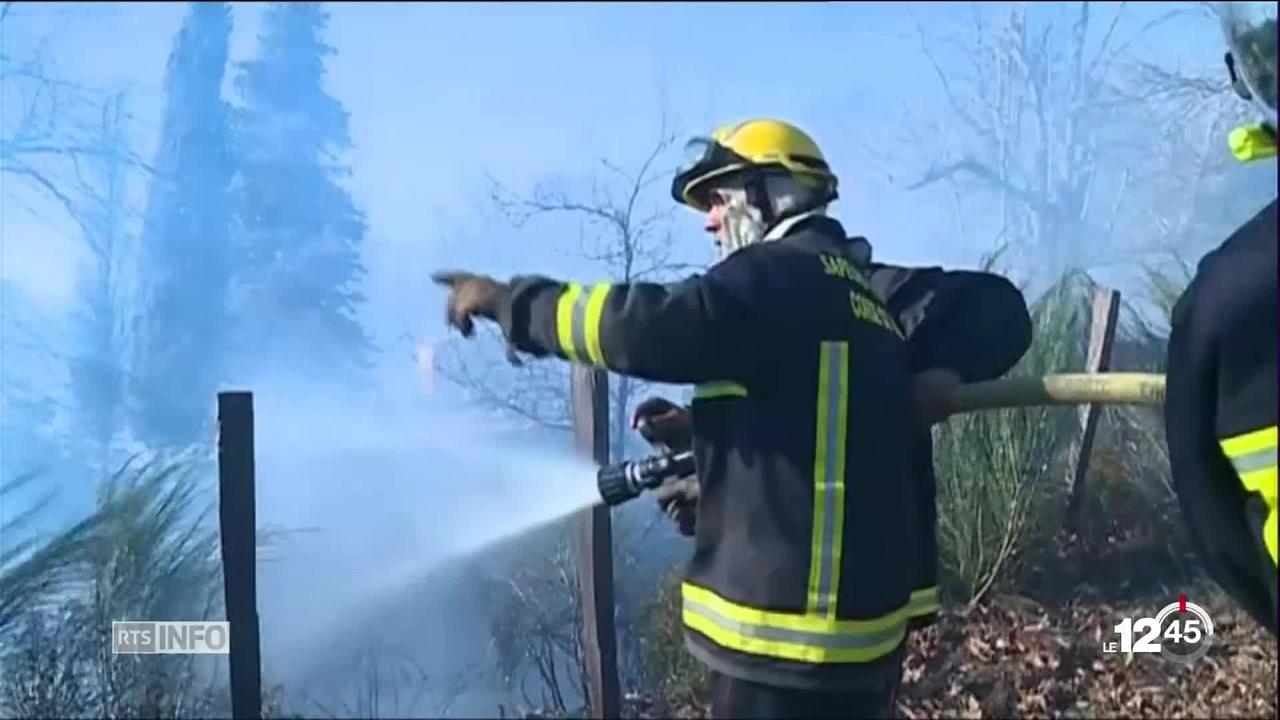 En Corse, les pompiers luttent depuis samedi soir contre un incendie qui a déjà dévasté environ 1500 hectares de végétation