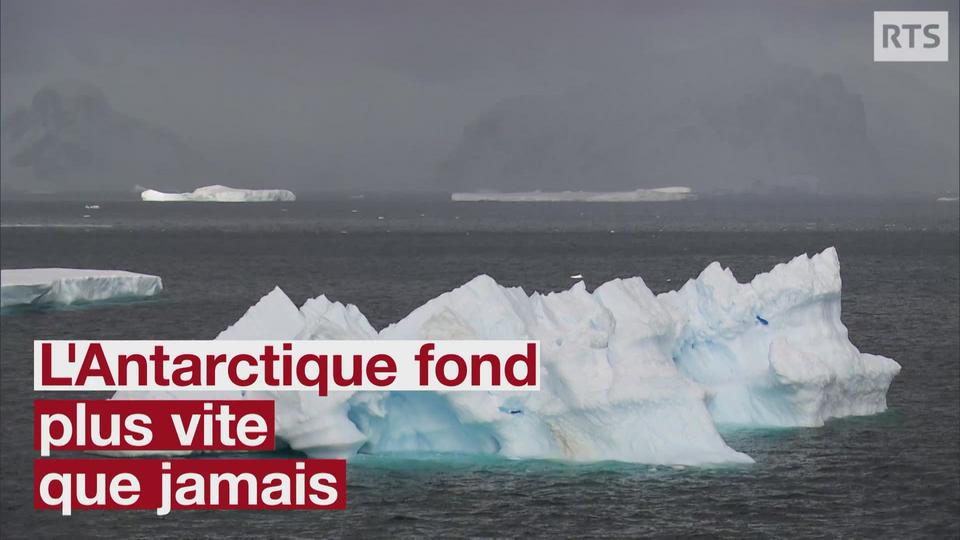 Les glaces de l'Antarctique fondent six fois plus vite qu'il y a quarante ans