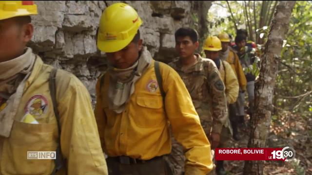 En Amazonie, d'importants moyens sont déployés pour maîtriser les flammes.