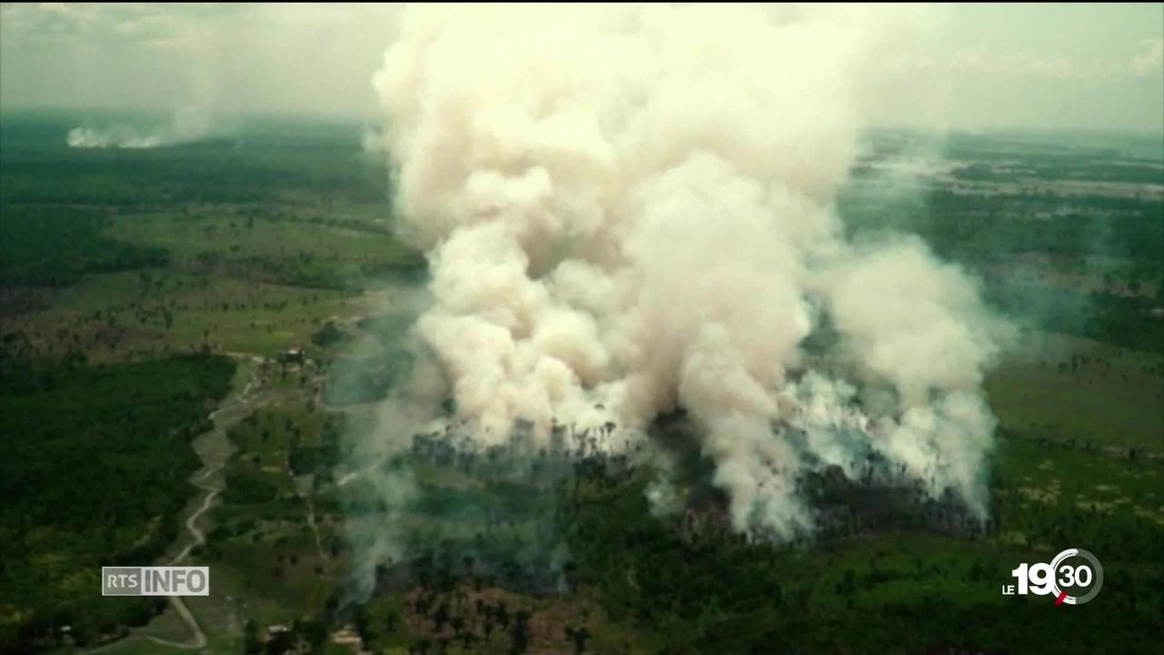 Les feux en Amazonie, c'est une crise internationale et un sujet diplomatique majeur.