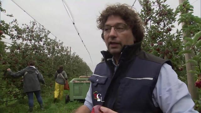 Entretien avec Jean-Daniel Heiniger, arboriculteur-vigneron.