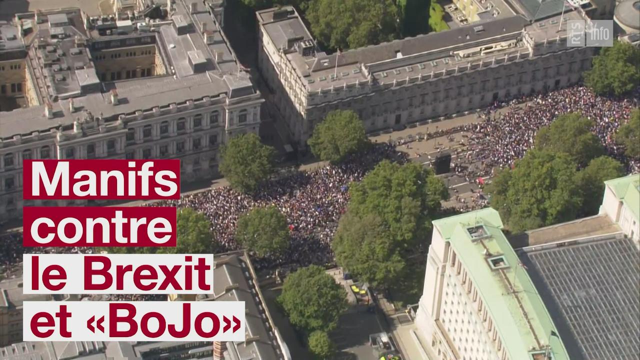 Manifestations contre le Brexit