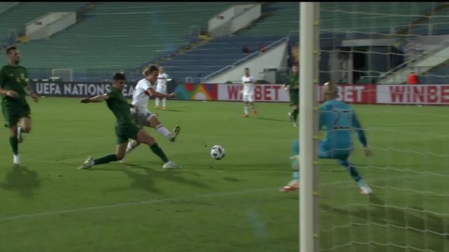 Gr.4, Bulgarie - Irlande (1-1): les Bulgares repris en fin de rencontre