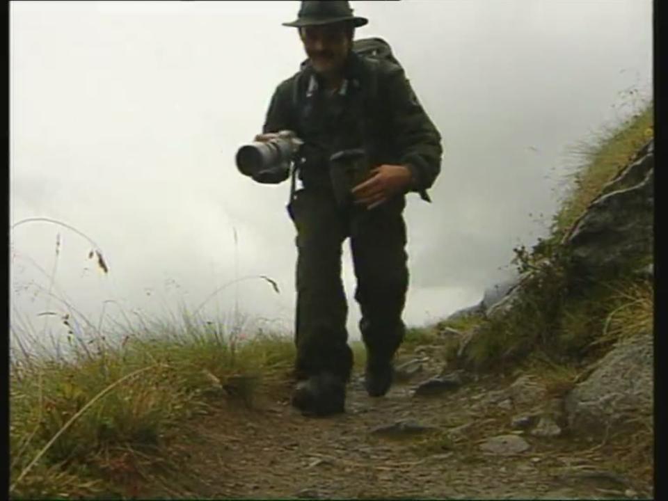 1999: Le Valais face au retour du loup