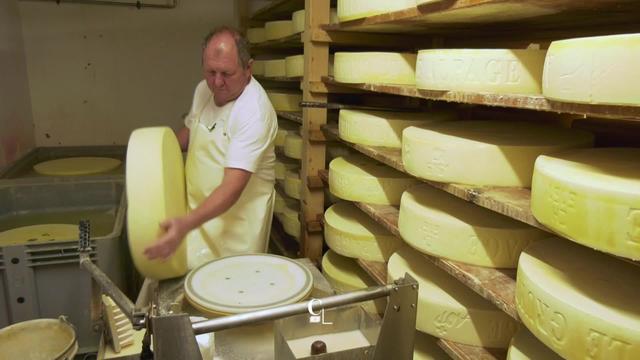 La production de Gruyère d'alpage AOP est plus importante sur Vaud que dans le canton de Fribourg