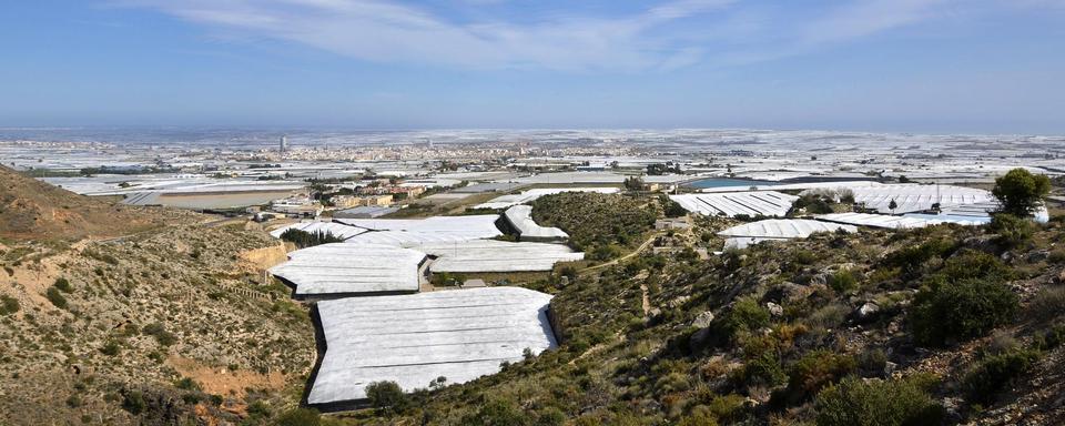 La mer de plastique à Almeria. [Depositphotos - neftali77]