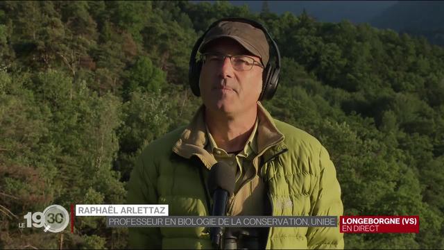 Retour de l'aigle royal dans le Jura: l'avis du biologiste Raphaël Arlettaz