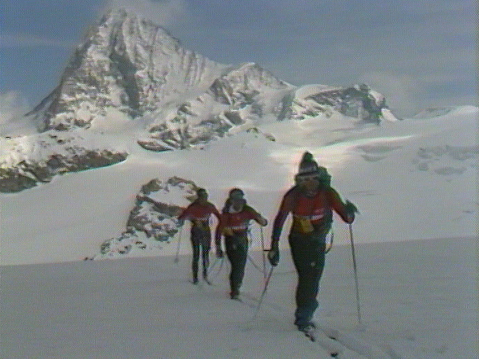 Les frères Salamin