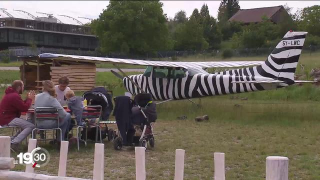 Un bout de savane africaine aménagé dans le zoo de Zurich pour 56 millions de francs