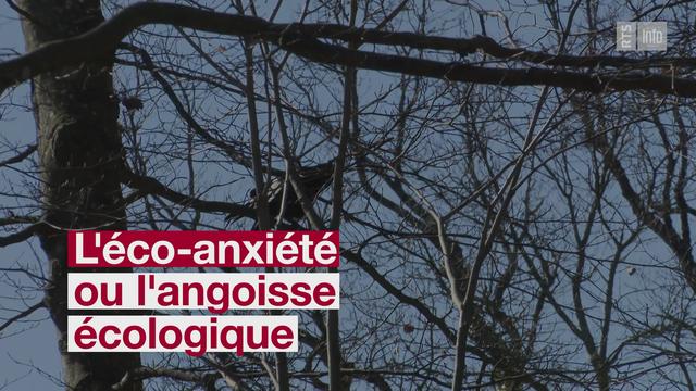 L'éco-anxiété ou l'angoisse écologique