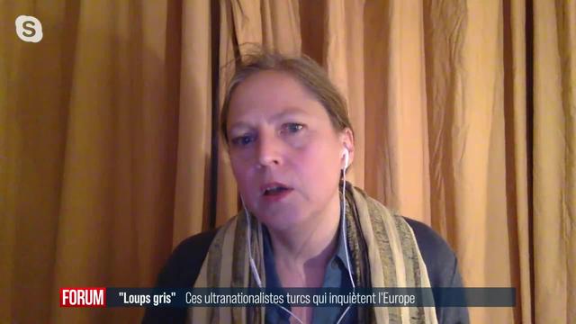 Influence et réseau d'Erdogan en Europe, l'exemple des "Loups gris": interview de Dorothée Schmid