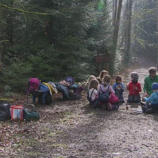 La forêt pour école