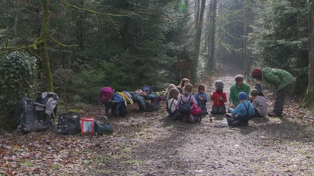 La forêt pour école