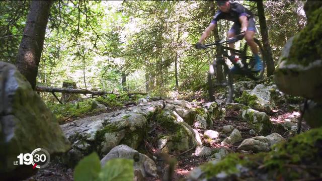 Les fans de VTT construisent des pistes dans les forêts. De mauvaises pratiques que le Jura veut stopper