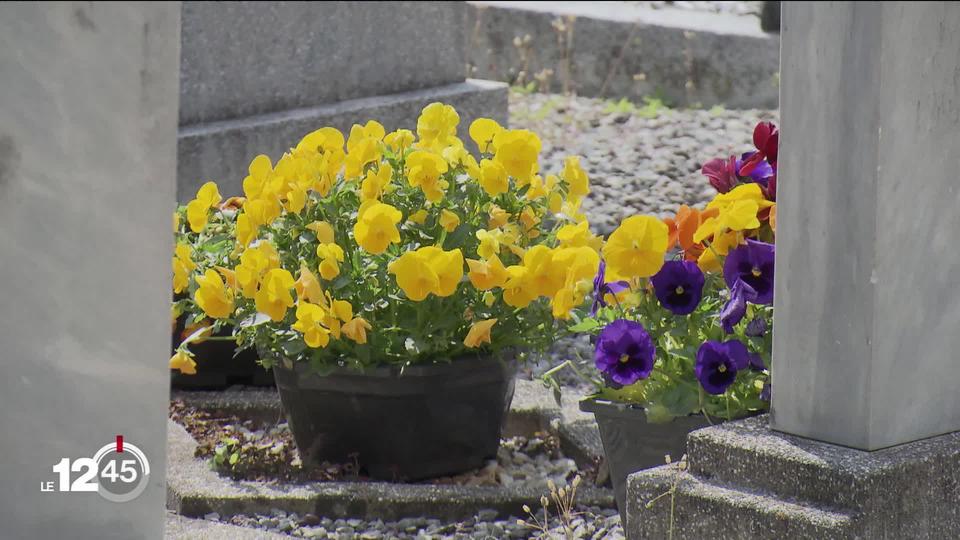 A Fully (VS) une entreprise horticole offre ses fleurs pour garnir les tombes.