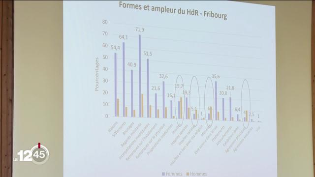 Après Lausanne et Genève, c’est au tour de la ville de Fribourg de mesurer l'ampleur du harcèlement de rue.