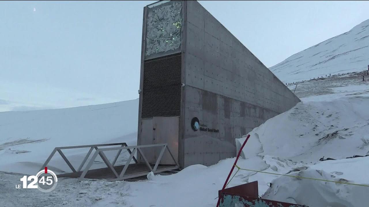 Archipel norvégien du Svalbard en Arctique: coffre-fort de la biodiversité.