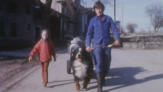 Chien de ferme en 1975. [RTS]