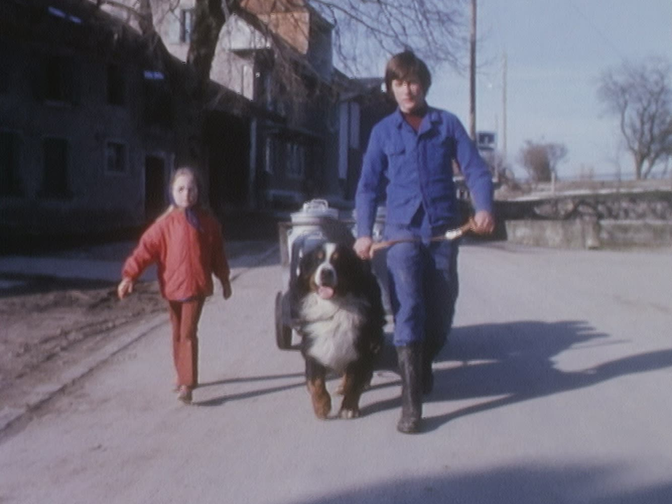 Chien de ferme en 1975. [RTS]