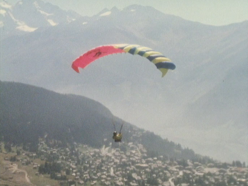 Les ailes du délire