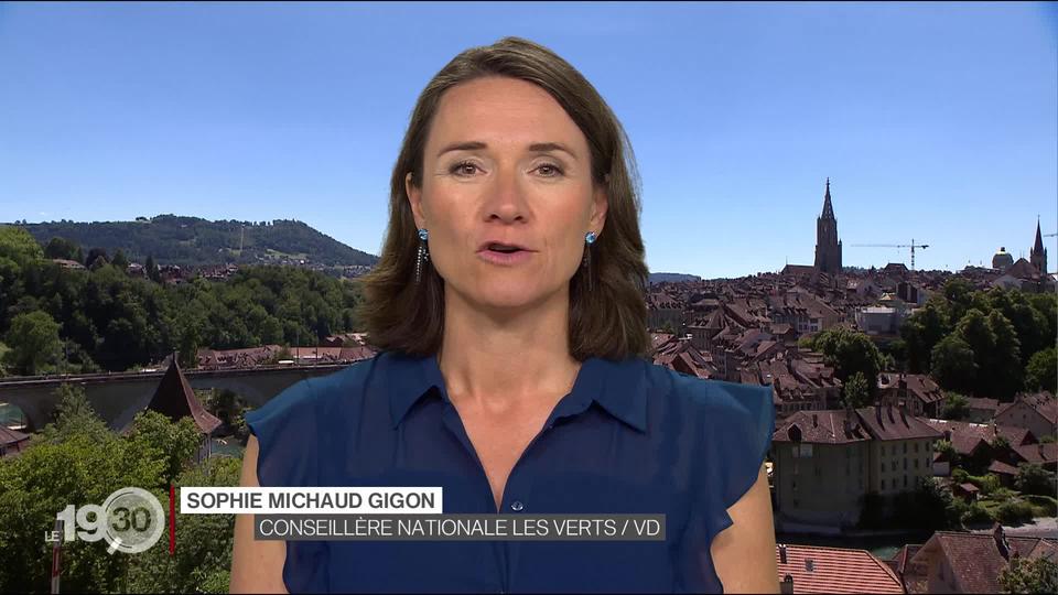 Sophie Michaud Gigon: "Les engagements de la loi ont de la peine à être tenus."