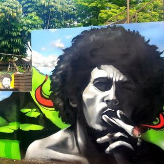 Peinture murale dans le jardin de Bob Marley à Kingstone, Jamaïque. [RTS - Stéphane Cosme]