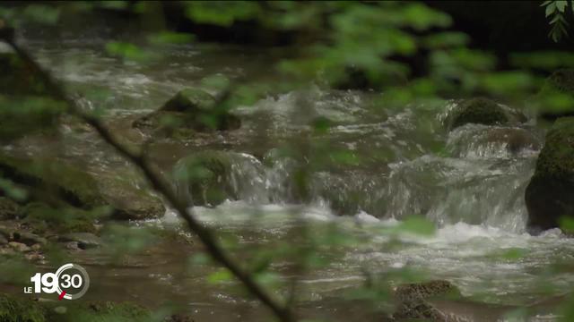 Les eaux souterraines du Plateau sont en grande partie polluées par le chlorothalonil, un fongicide interdit en Suisse.