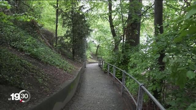 Lausanne: Le tram sur rail et la forêt sauvée.