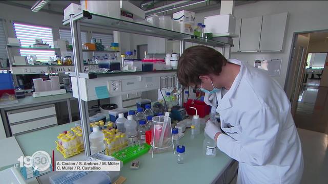 La Suisse place ses espoirs dans un possible médicament contre le coronavirus.