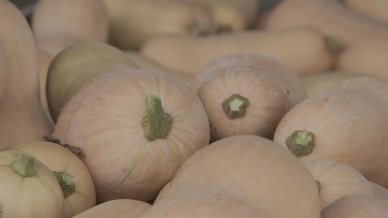 Les agriculteurs dénoncent la grande distribution