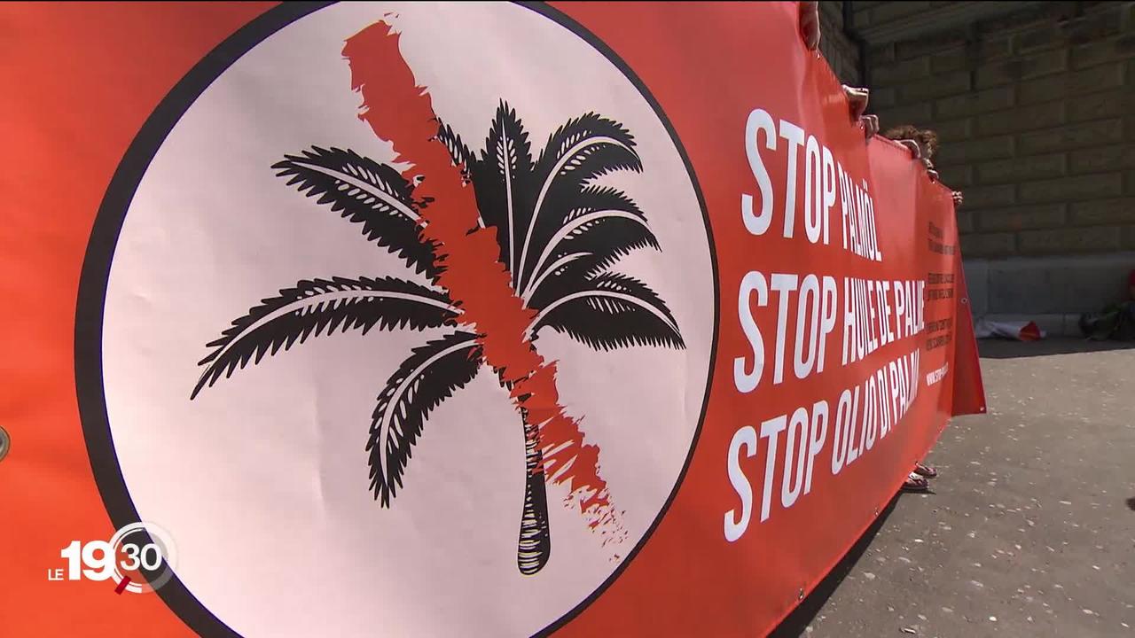 Un référendum déposé contre l'huile de palme.