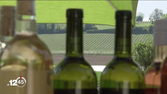 La consommation de vin et bière indigènes est en augmentation en Suisse.