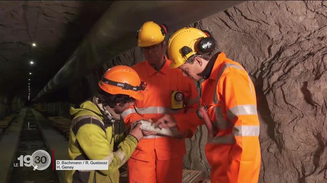 JU: Le projet de géothermie profonde dans la commune de Haute-Sorne cristallise les tensions