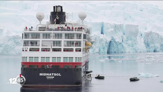 En Antarctique, le tourisme explose et ça inquiète les scientifiques