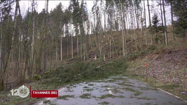 Cette nuit, la tempête Ciara a frappé la Suisse. Des pointes à 140 km-h et de nombreux dégâts. Notre reportage.