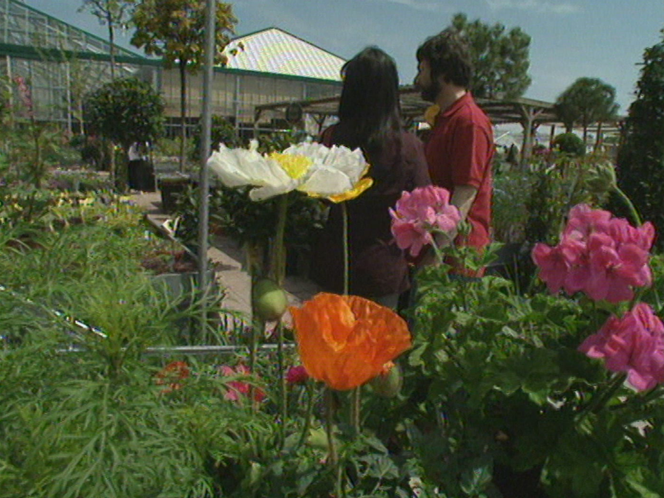 La passion du jardinage