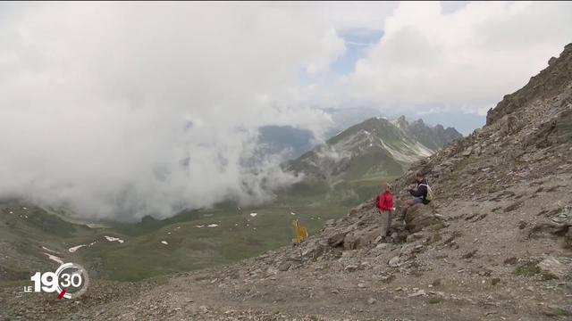 Des séjours mêlant alpinisme et botanique sont organisés en Suisse pour les scientifiques en herbe, un succès au temps du Covid