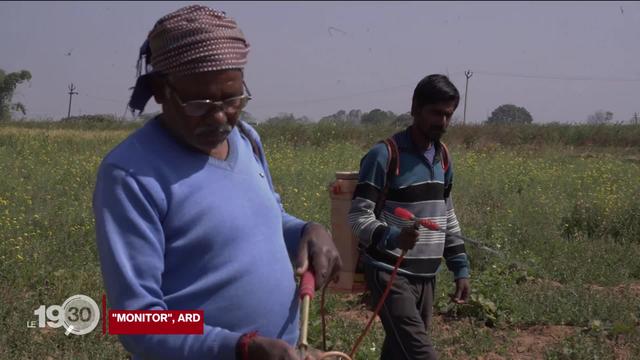 La vente de pesticides jugés dangereux dénoncée par Public Eye et Greenpeace.