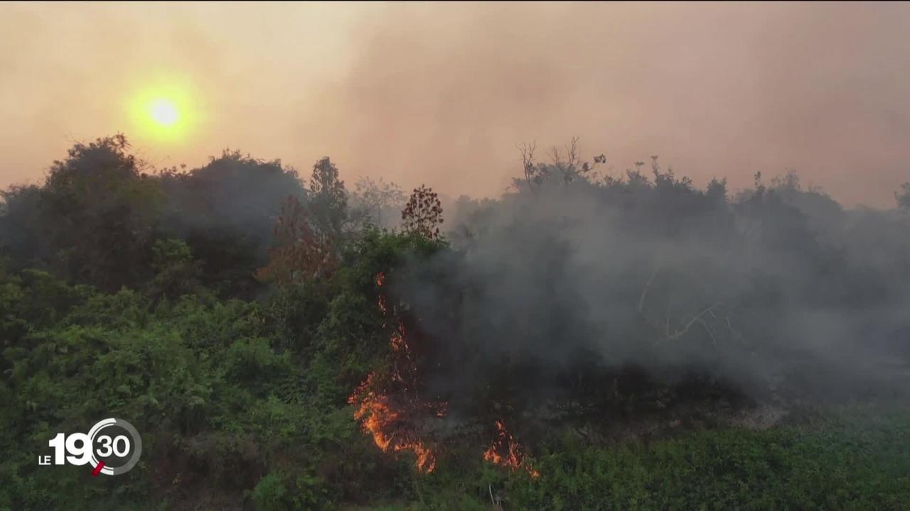 D'énormes incendies consument l'Amazonie