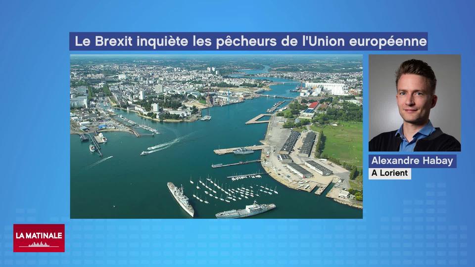 La filière française de la pêche s'inquiète d'un éventuel "no deal" sur le Brexit (vidéo)