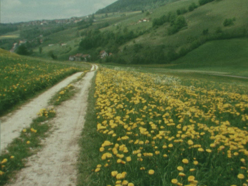 Le vallon d'oiseaux