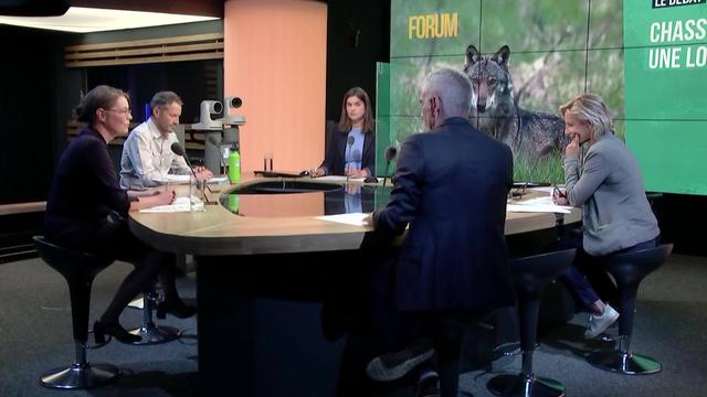 Le Grand débat - La nouvelle Loi sur la chasse