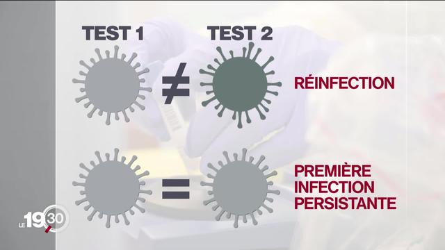 Il est possible de contracter deux fois le coronavirus. La durée immunitaire reste inconnue.