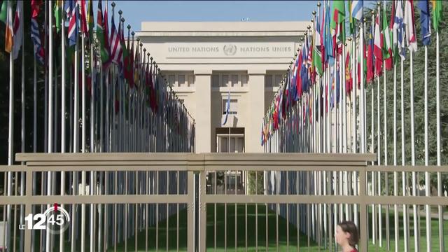 Le travail à distance suscite la controverse sur les stages de l'ONU.