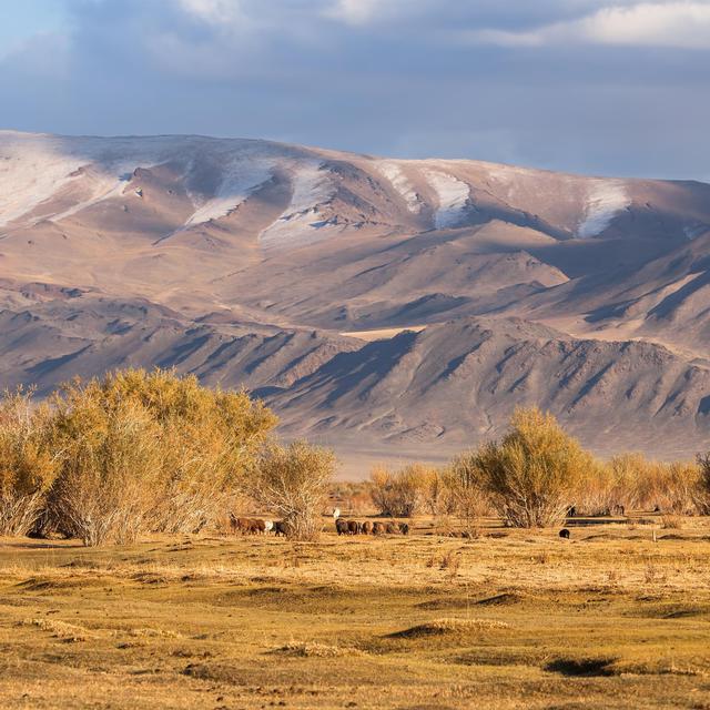 Montagnes en Mongolie occidentale. [Depositphotos - dimaberkut]