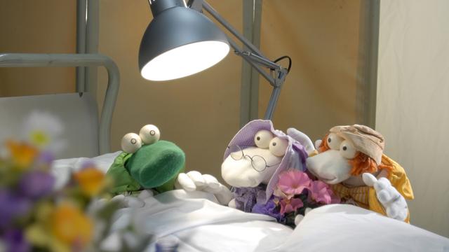 Albert le Vert à l'hôpital. [RTS - Pénélope Henriod]