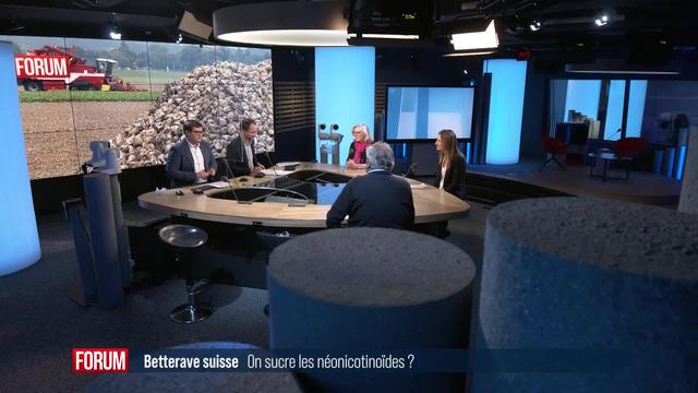 Le débat - Betterave suisse: on sucre les néonicotinoïdes?